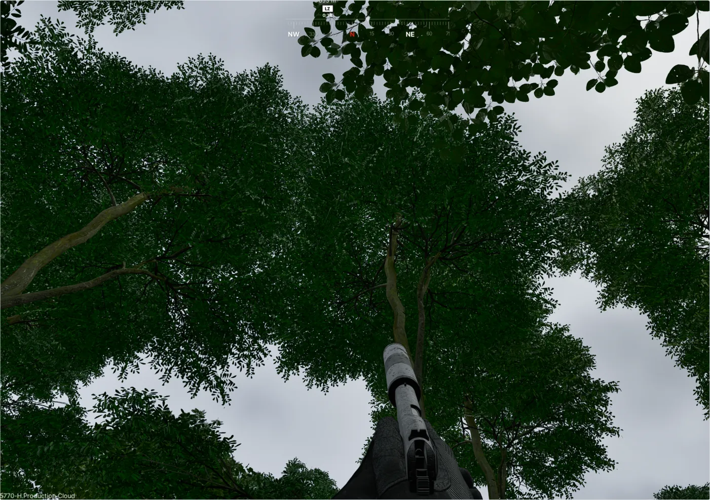 Vois la taille des arbres…